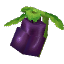 Crop Aubergine