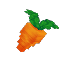 Crop Carrot