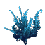 Bushy Cyan Fern